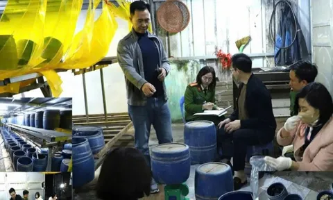 Bắt chủ cơ sở dùng ‘nước kẹo’ để sản xuất gần 2,8 tấn giá đỗ