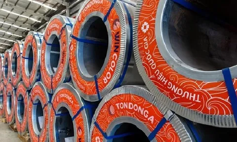 Tôn Đông Á thành lập công ty con kinh doanh bất động sản