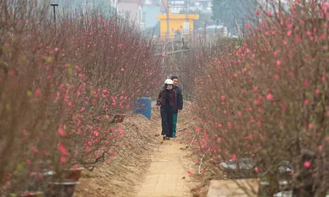 Dự báo thời tiết ngày 27 Tết: Người dân cần chú ý điều gì?