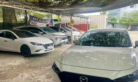 Thuê xe tự lái dịp Tết: Hết loại giá rẻ