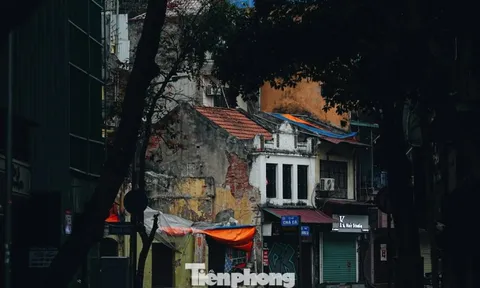 Vẻ đẹp hiếm có của Hà Nội trong buổi sáng đầu năm