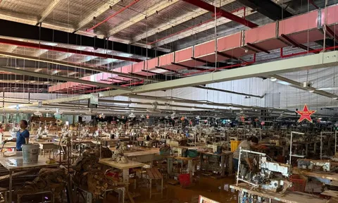 Chuyện chưa kể của các doanh nghiệp bảo hiểm giữa tâm bão năm Ất Tỵ 2025