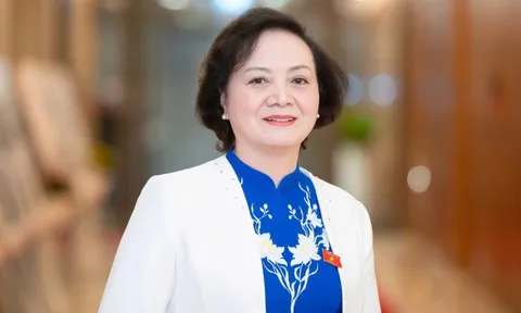 Nhân sự khối Chính phủ, Quốc hội ứng cử ĐBQH khóa XVI