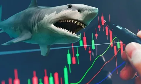 Khối quỹ ngoại cơ cấu danh mục ra sao trước kỳ nghỉ Tết?