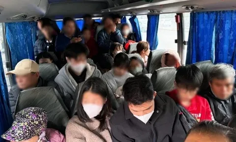 Bất ngờ với số tiền phạt sau 50 tin nhắn gửi tới Cục trưởng Cục CSGT