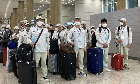 Tạm dừng hoạt động đưa người lao động đi làm việc tại khu vực Trung Đông