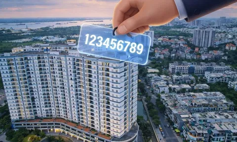 Cách tra cứu mã định danh bất động sản cá nhân, người dân cần biết rõ một điều