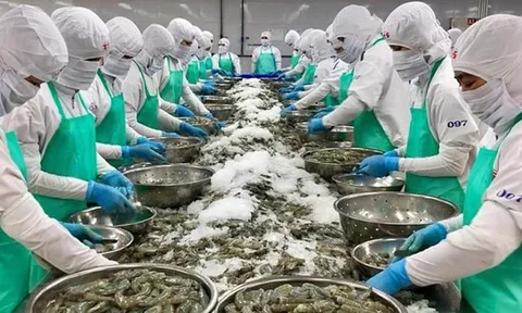 Doanh nghiệp xuất khẩu thủy sản ứng phó với căng thẳng tại Trung Đông