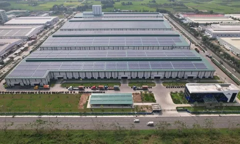 Hòa Phát chính thức vận hành nhà máy ống thép công suất 410.000 tấn/năm