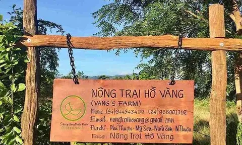“Nông trại Hồ Vàng” của ông Thích Nhuận Đạt?