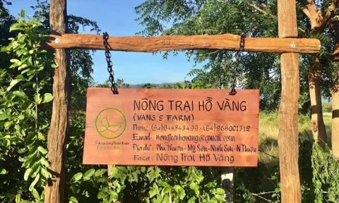 Xác minh hoạt động tôn giáo tại ‘nông trại Hồ Vàng’ sau vụ ông Thích Nhuận Đạt