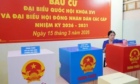 Cử tri đi bầu cử cần lưu ý những gì?