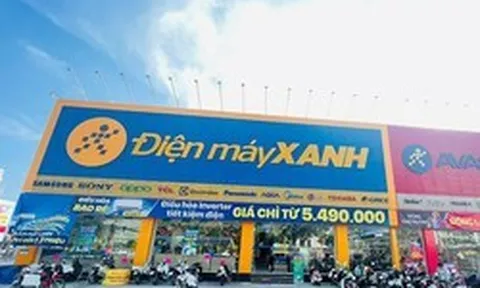 Giải mã hồ sơ IPO Điện Máy Xanh: Tái định vị chiến lược và chu kỳ tăng trưởng mới