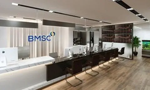 Chứng khoán Bảo Minh thay Trưởng Ban Kiểm soát