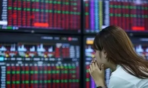 Chứng khoán 'bay' 50 điểm, tiền vào giải cứu DGC