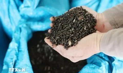 Việt Nam đón tin cực vui từ Thái Lan