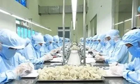 Lưu ý với nông sản Việt xuất Trung Quốc từ ngày 1/6