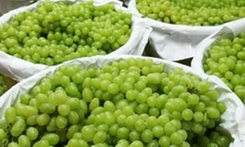 Trung Quốc vừa đón tin cực vui từ Việt Nam