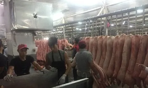Giá heo hơi hôm nay, 30-3: Chợ đầu mối có giá mới