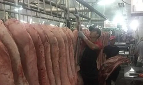 Giá heo hơi hôm nay, 2-4: Giảm rất mạnh ở chợ đầu mối