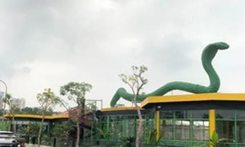 Hà Nội: Loạt công trình xây dựng trên diện tích gần 16.000m2 đất quy hoạch do phường Việt Hưng quản lý