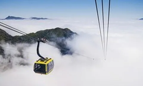 Cáp treo Fansipan Sa Pa báo lãi gần 29 tỷ đồng trong năm 2025