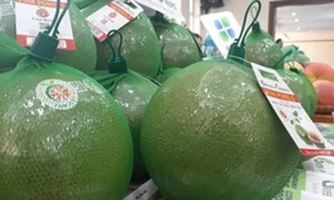 Ngành rau quả đón nhiều tin vui