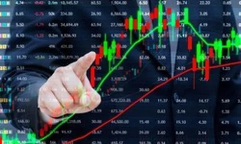 Chuyên gia quốc tế nói gì về lo ngại thị trường phụ thuộc vào cổ phiếu “họ Vingroup”?