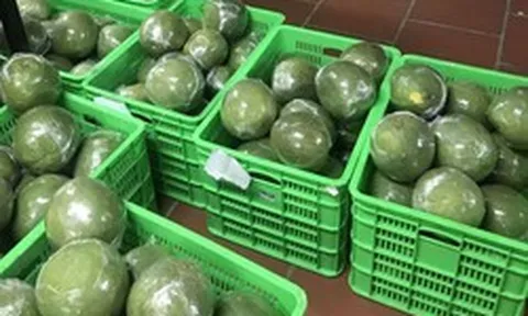 Tin vui: Loại quả Việt Nam trồng hơn 100.000 ha vừa chính thức có “visa” sang Trung Quốc