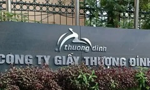 Vinaconex tính mua cổ phần của Giầy Thượng Đình