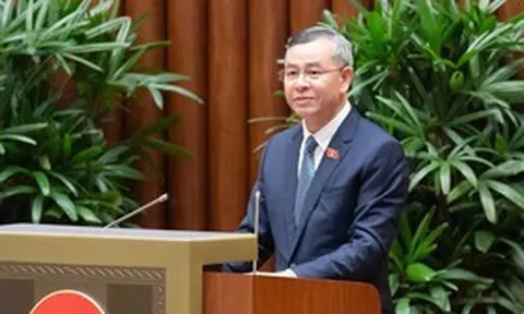 Trình Quốc hội sửa 4 luật thuế, thay đổi ngưỡng chịu thuế với hộ kinh doanh