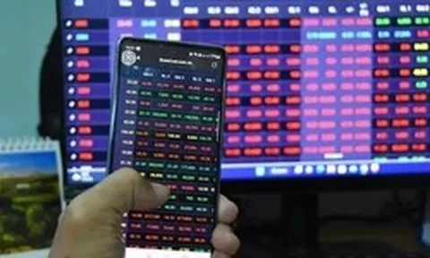 Công ty chứng khoán đầu tư chứng khoán cũng… lỗ