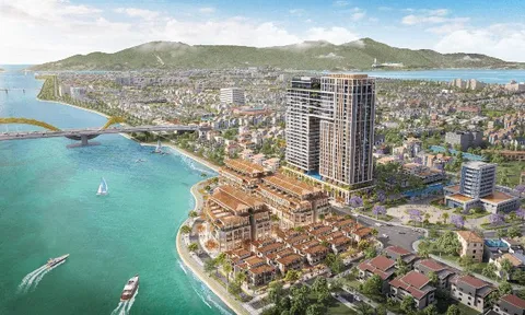 Cù Lao Chàm báo lãi hơn 775 tỷ đồng năm 2025, vốn chủ sở hữu tăng gấp đôi