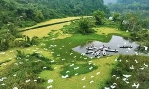 Sự thực Vườn chim Thung Nham được chuyển nhượng với giá hàng triệu USD