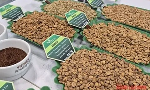 Giá cà phê hôm nay 28-4: Đồng loạt giảm, cà phê đặc sản gây bất ngờ