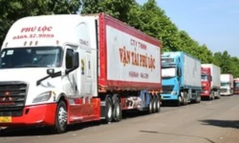 Vải thiều - sầu riêng cùng gặp khó