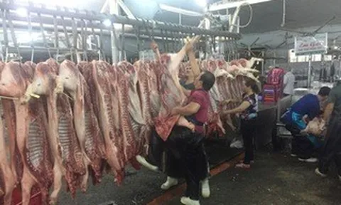 Giá heo hơi hôm nay, 9-5: Tăng ở nhiều khu vực