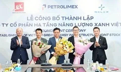 Petrolimex góp bao nhiêu vốn khi bắt tay Xuân Cầu Holdings và Selex Motors xây trạm sạc?