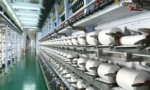 Cổ đông của Sợi Thế Kỷ sắp nhận cổ tức bằng cổ phiếu tỷ lệ 10%