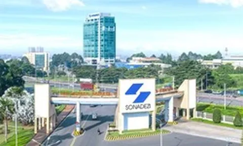 Bắt trưởng Ban kiểm soát Sonadezi