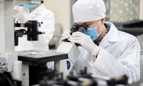 Đầu tư dài hạn cho nghiên cứu cơ bản xuất sắc gắn với công nghệ chiến lược