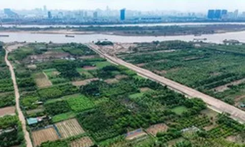 Tin vui: Người có đất nông nghiệp muốn chuyển đổi lên thổ cư thuộc trường hợp này sẽ được giảm 70% tiền sử dụng đất