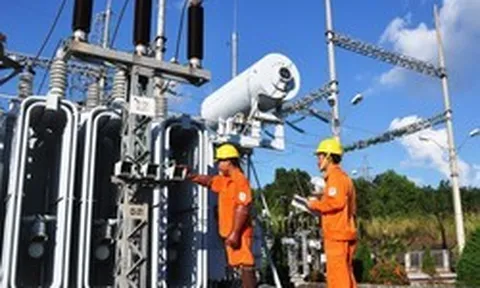 Chủ tịch và Kế toán trưởng bị bắt, doanh nghiệp điện phát thông báo quan trọng