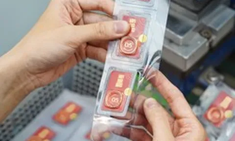 Giá vàng hôm nay 14-6: Dự báo mới nhất sau tuần tăng giảm cả chục triệu đồng
