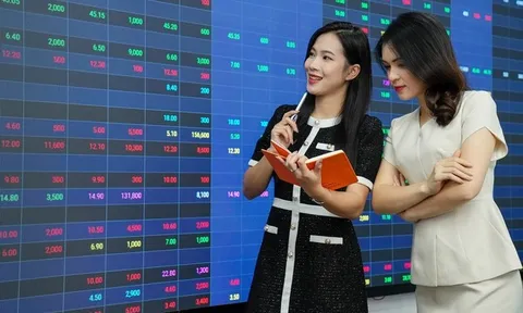 VN-Index phát tín hiệu tạo đáy, dòng tiền dần quay trở lại thị trường