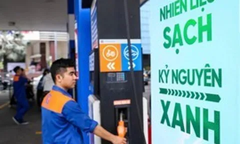 Bộ KH&CN tăng cường kiểm soát chất lượng xăng sinh học E10
