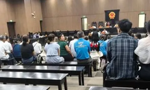 Chủ tịch HĐQT một công ty lĩnh án 20 năm tù