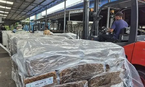 VRG: Giá cao su có thể vọt lên 3.300 USD/tấn vào năm 2030