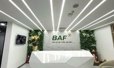 Baf Việt Nam ‘rót’ 810 tỷ đồng thành lập 4 công ty con tại Hà Nội