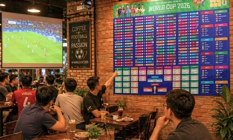 Trình chiếu FIFA World Cup tại nhà hàng, quán cà phê phục vụ khách có bị vi phạm bản quyền?